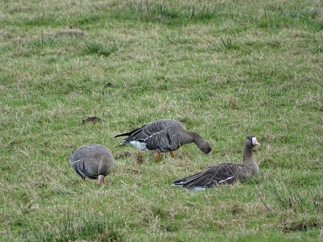 球球迷与媒 球球迷与媒
