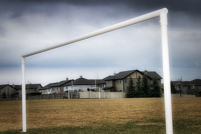 粉丝收藏球 粉丝收藏球