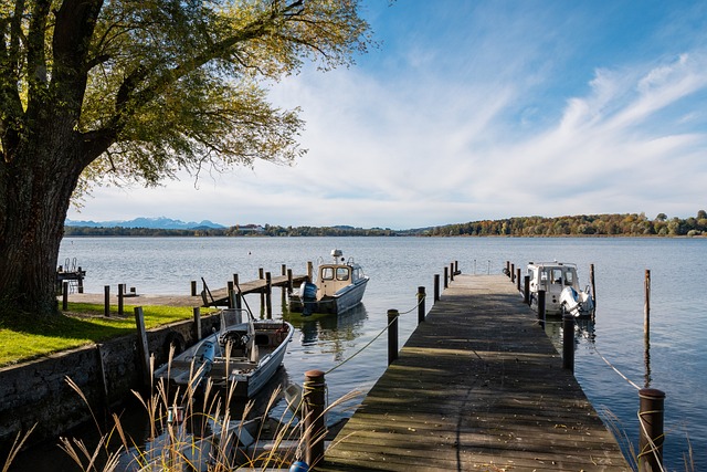 专业背景 专业背景