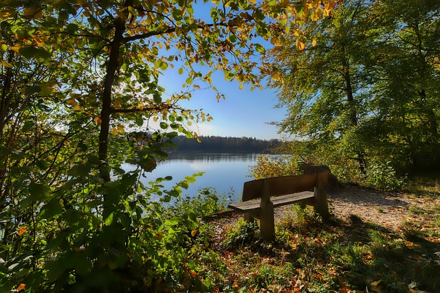 尖的竞技状 尖的竞技状