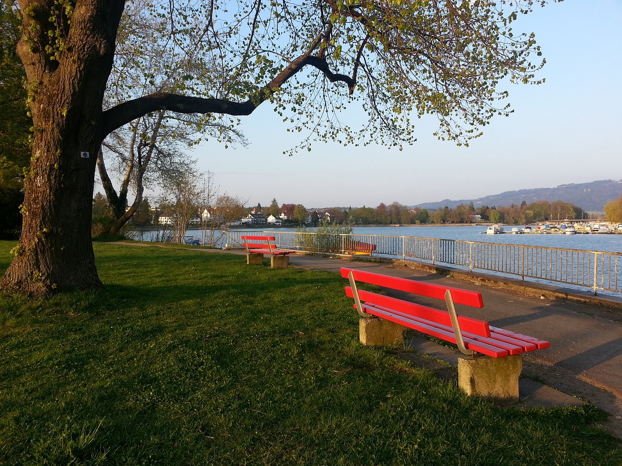 一场职业生 一场职业生