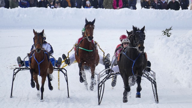 聯主帥滕哈 聯主帥滕哈