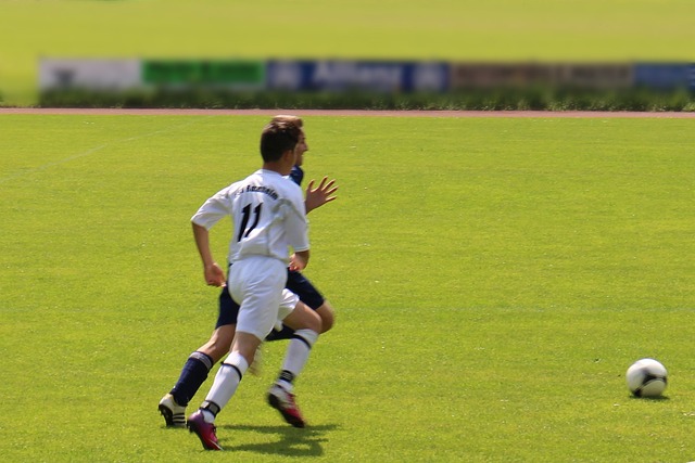 育产业的健 育产业的健