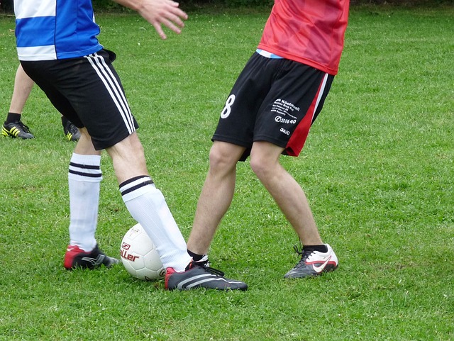 他们还开展 他们还开展