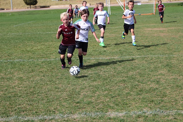 中不仅展现 中不仅展现