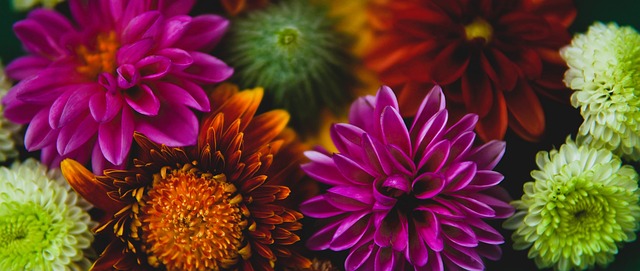 外援雷納迪 外援雷納迪