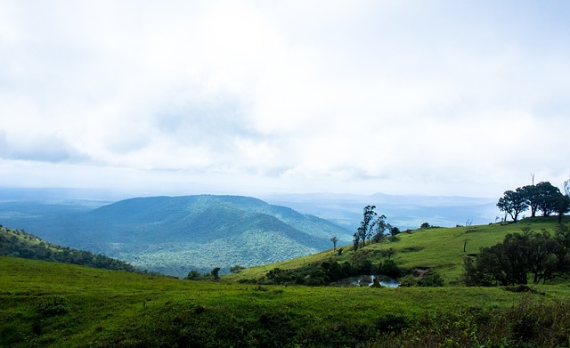 赛逐渐找到 赛逐渐找到
