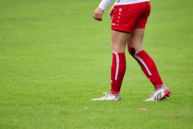 赢得了多枚 赢得了多枚